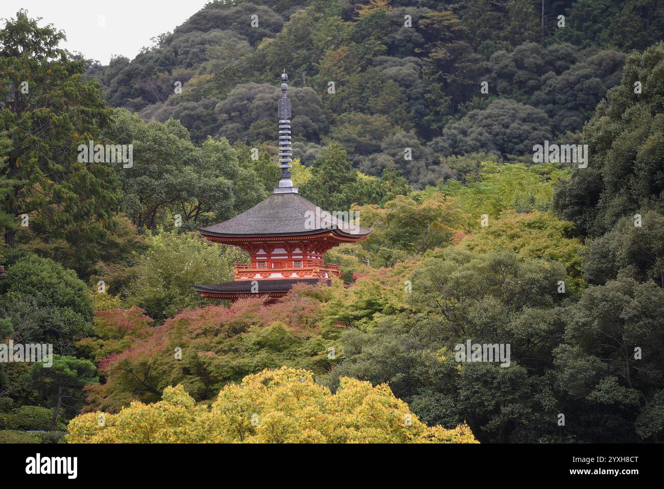 Paesaggio con vista panoramica di Koyasunoto, una pagoda dedicata alla dea Koyasu Kannon sul terreno del tempio Kiyomizu-dera a Kyoto, Giappone. Foto Stock