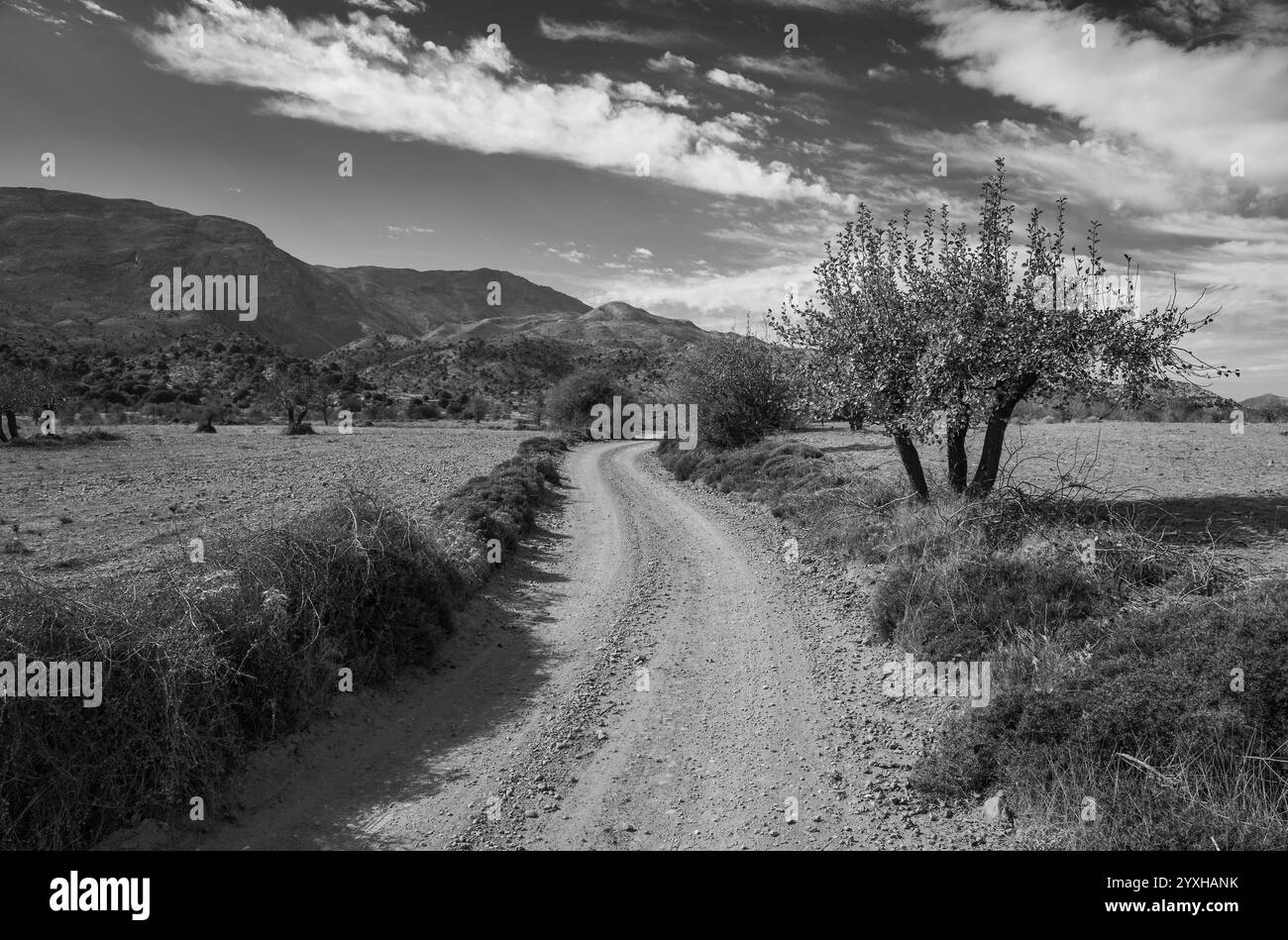 Strada rurale nella macchia di creta Foto Stock