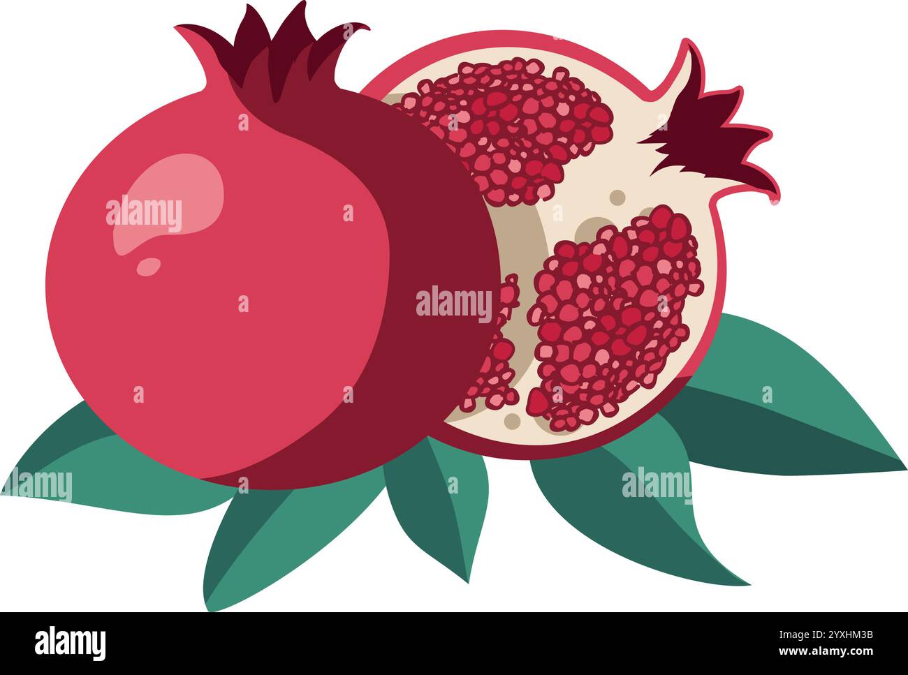 melograno - illustrazione vettoriale Illustrazione Vettoriale