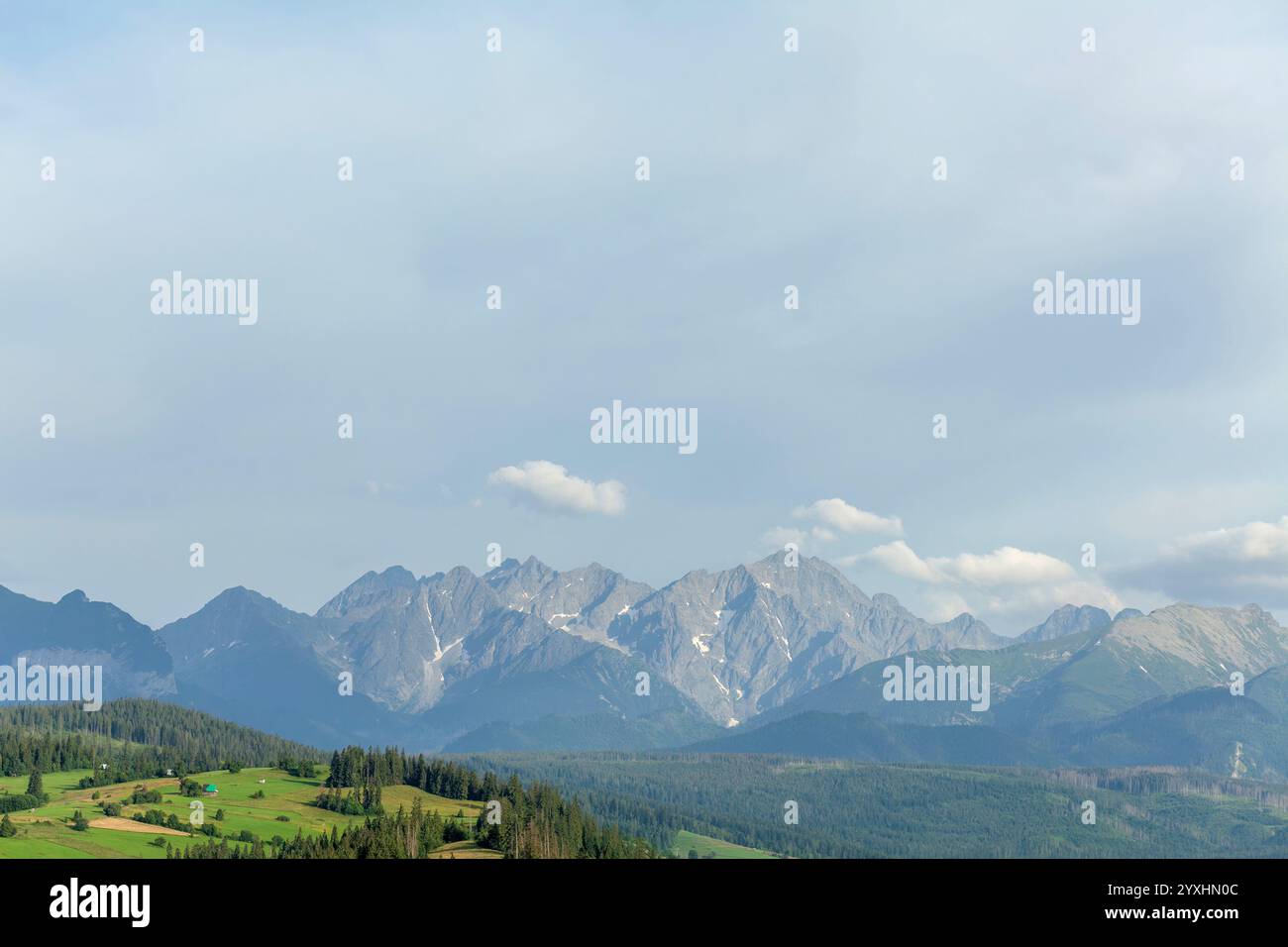 Splendida catena montuosa con foresta verde e prato in primo piano, vista panoramica delle cime rocciose sotto il cielo azzurro limpido con poche nuvole, tranquilla Foto Stock