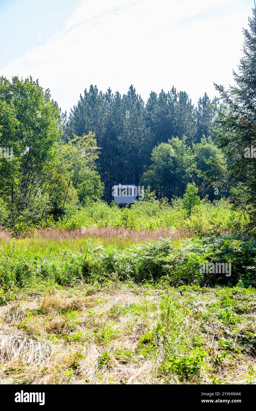 Una torre di caccia cieca nel Wisconsin settentrionale. Foto Stock