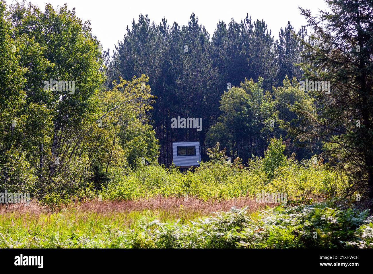 Una torre di caccia cieca nel Wisconsin settentrionale. Foto Stock