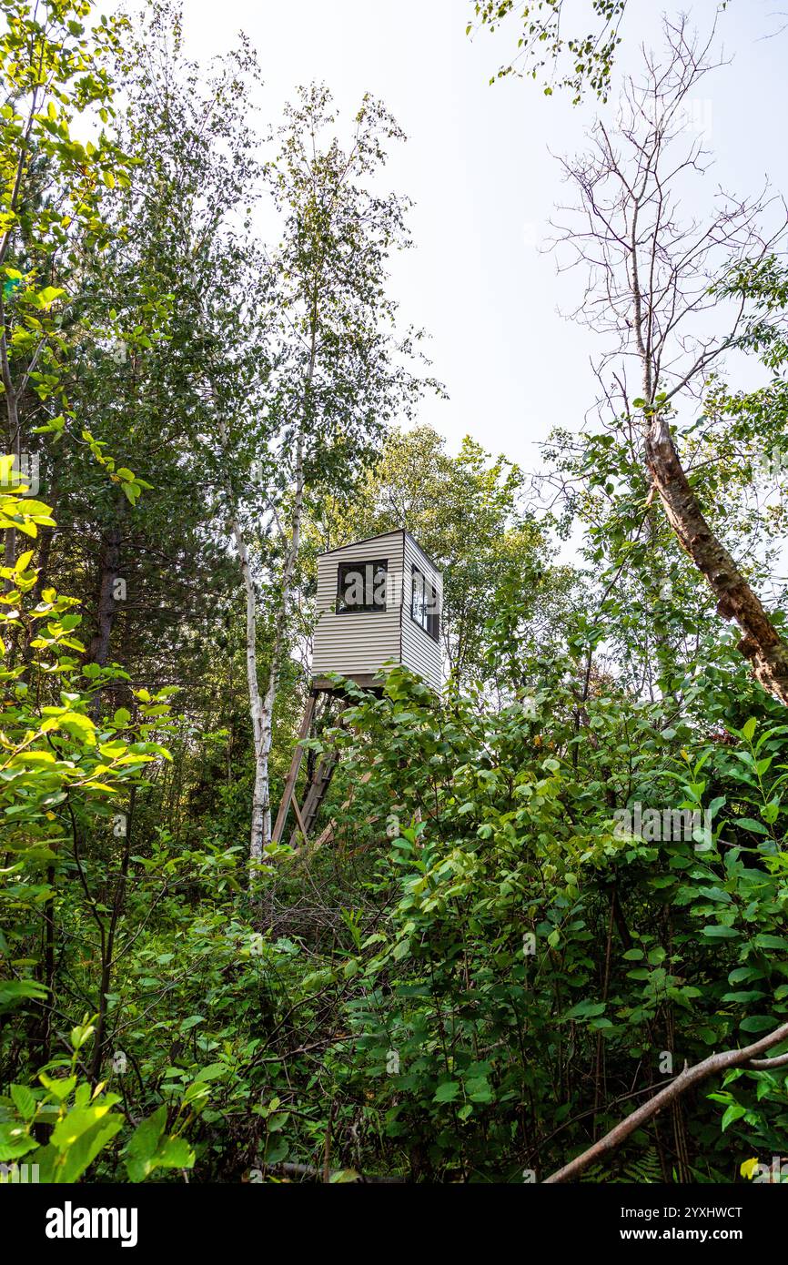 Una torre di caccia cieca nel Wisconsin settentrionale. Foto Stock