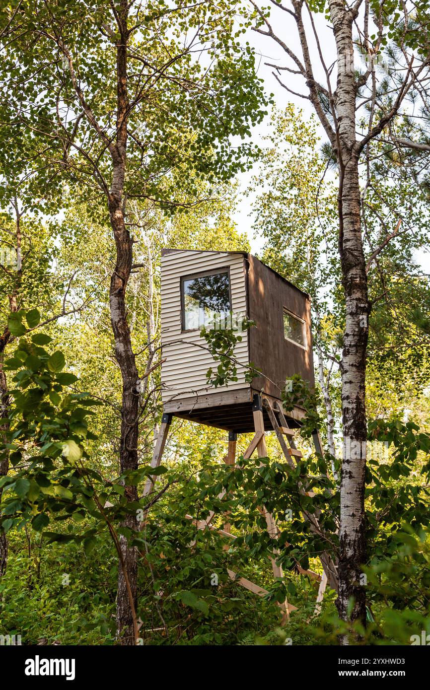 Una torre di caccia cieca nel Wisconsin settentrionale. Foto Stock