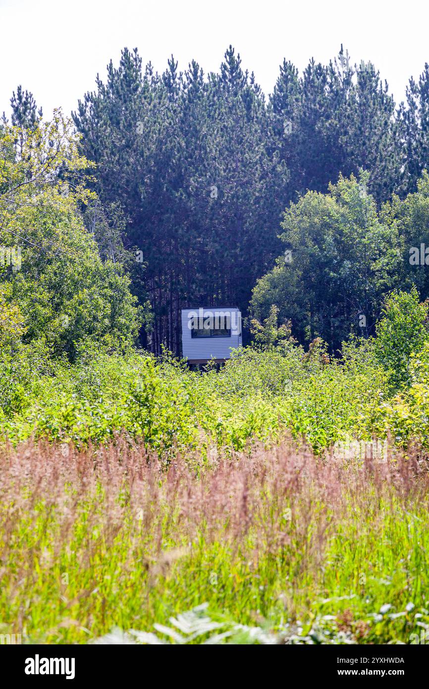 Una torre di caccia cieca nel Wisconsin settentrionale. Foto Stock