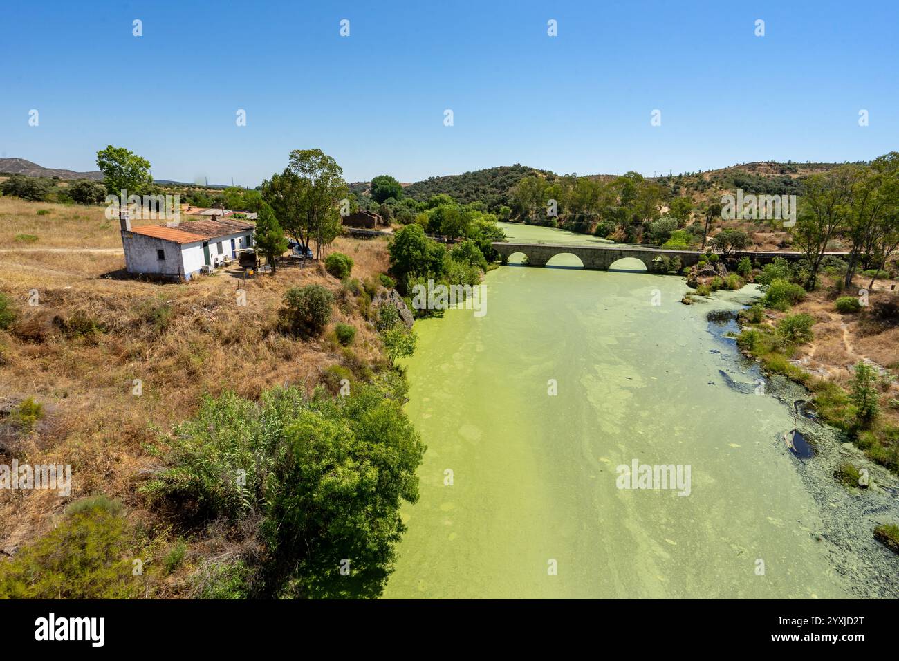 Acqua verde con alghe a causa dell'inquinamento del fiume Ponsul nel distretto di Castelo Branco-Portugal. Foto Stock
