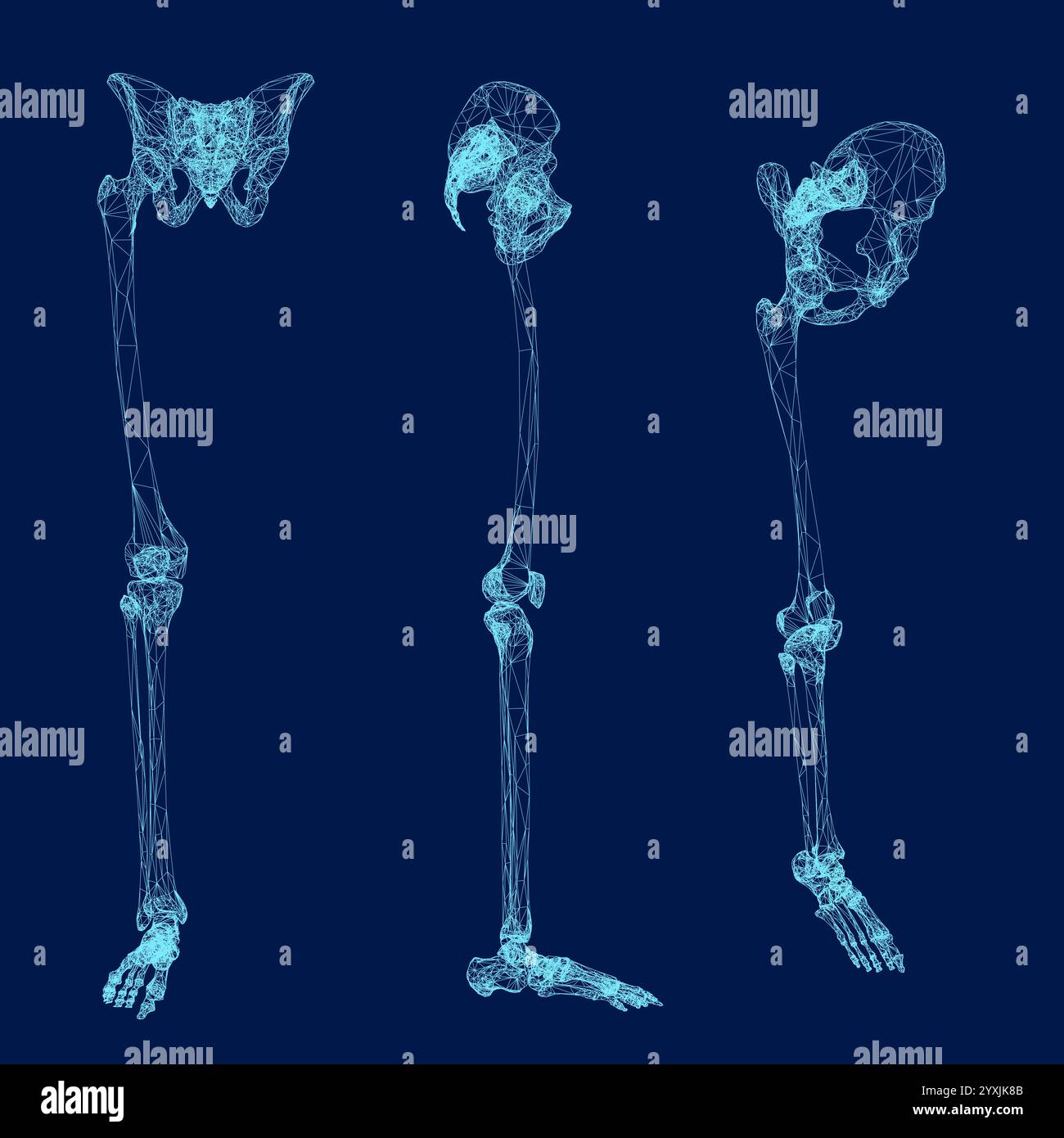 Impostare la struttura a reticolo delle ossa della gamba destra. Vista isometrica frontale, laterale. Illustrazione vettoriale Illustrazione Vettoriale