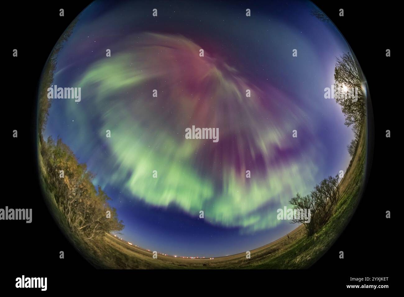 aurora a cielo aperto nel sud dell'Alberta, Canada. Foto Stock