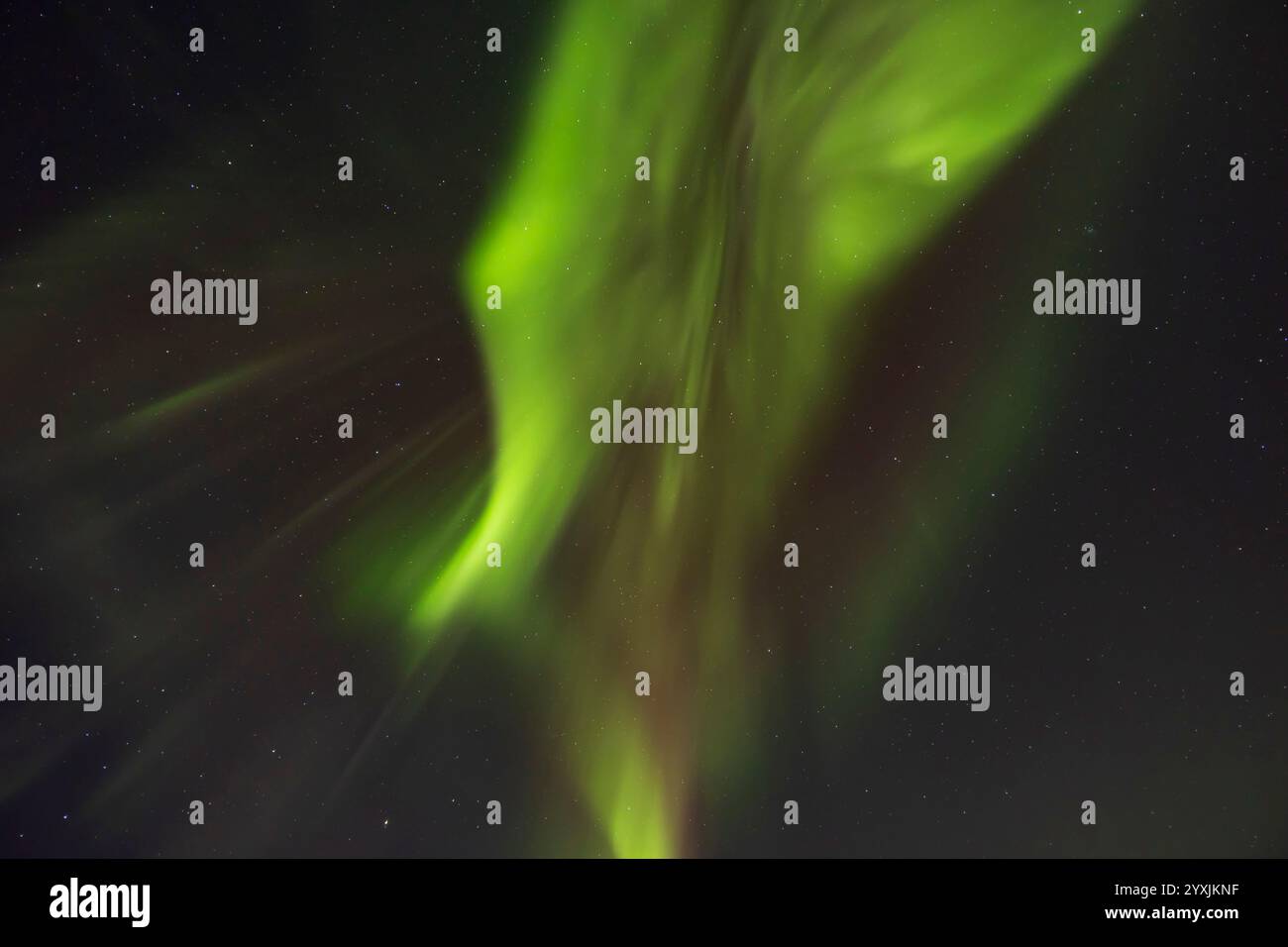 Tende Auroral in alto con Big Dipper e Ursa Major. Foto Stock