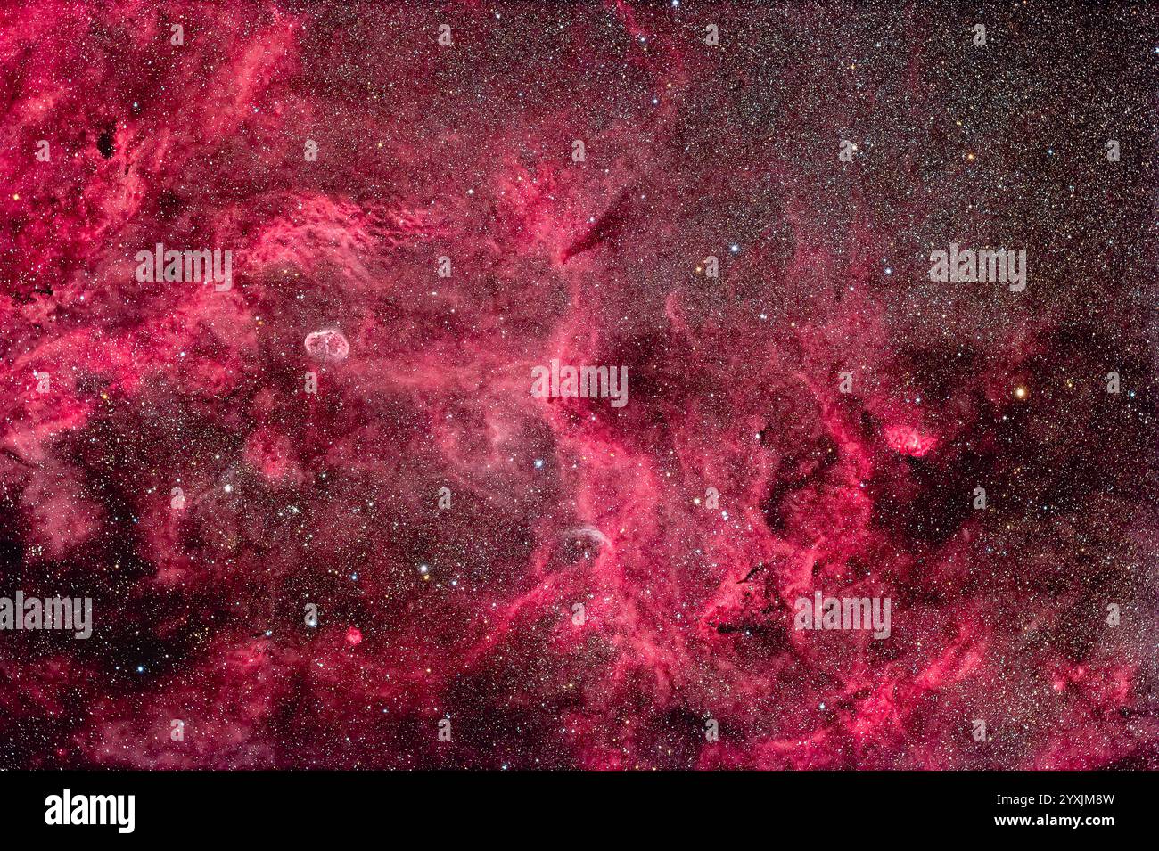 Una ricca area di nebulosità nel centro di Cygnus che comprende la Nebulosa Mezzaluna e la Nebulosa Tulipano. Foto Stock