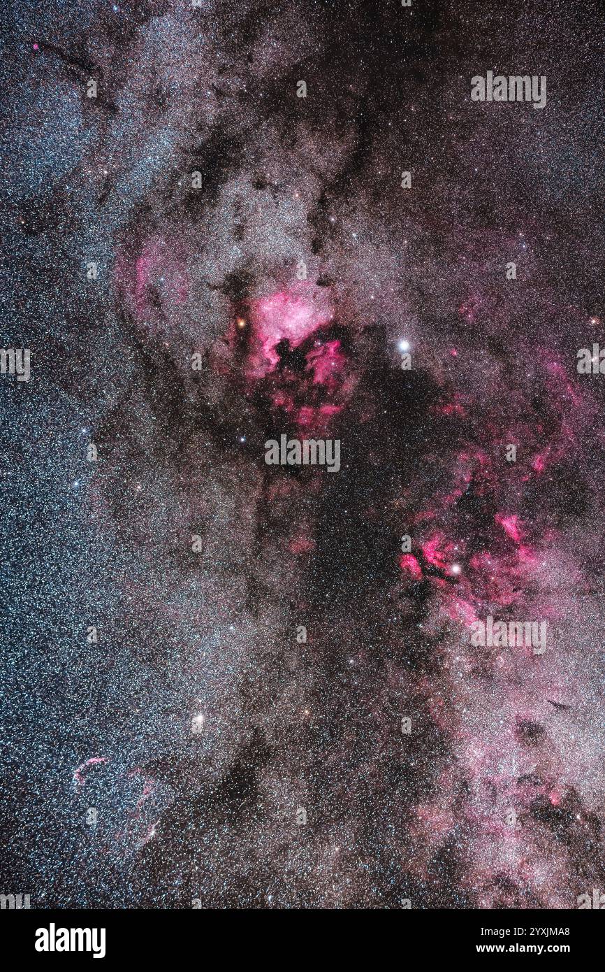 Un ricco assortimento di nebulose luminose e scure nel Cygnus settentrionale, intorno alla stella luminosa Deneb. Foto Stock