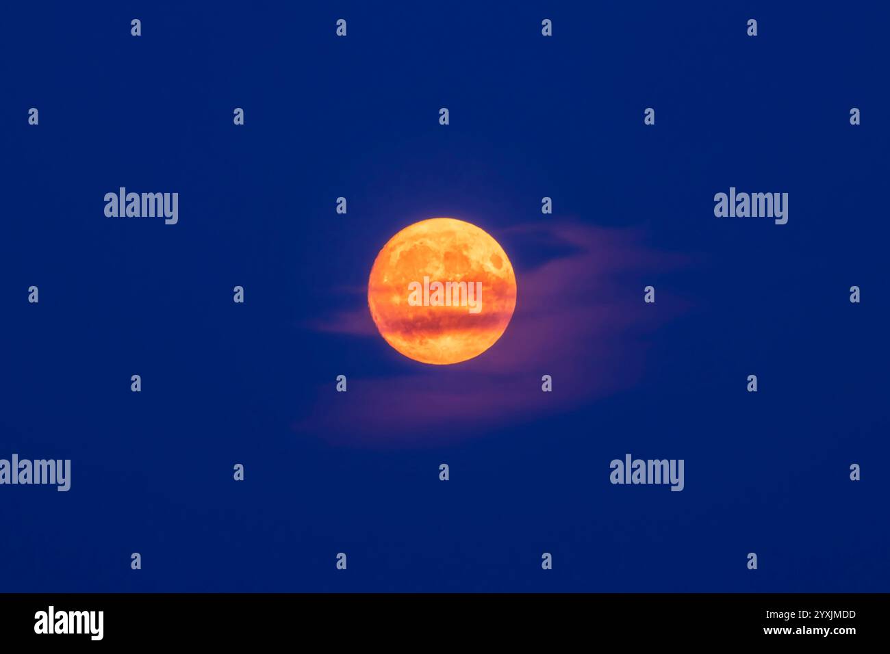 La Luna quasi piena ingiallibile dal fumo e dalla polvere nel cielo blu al crepuscolo, Alberta, Canada. Foto Stock