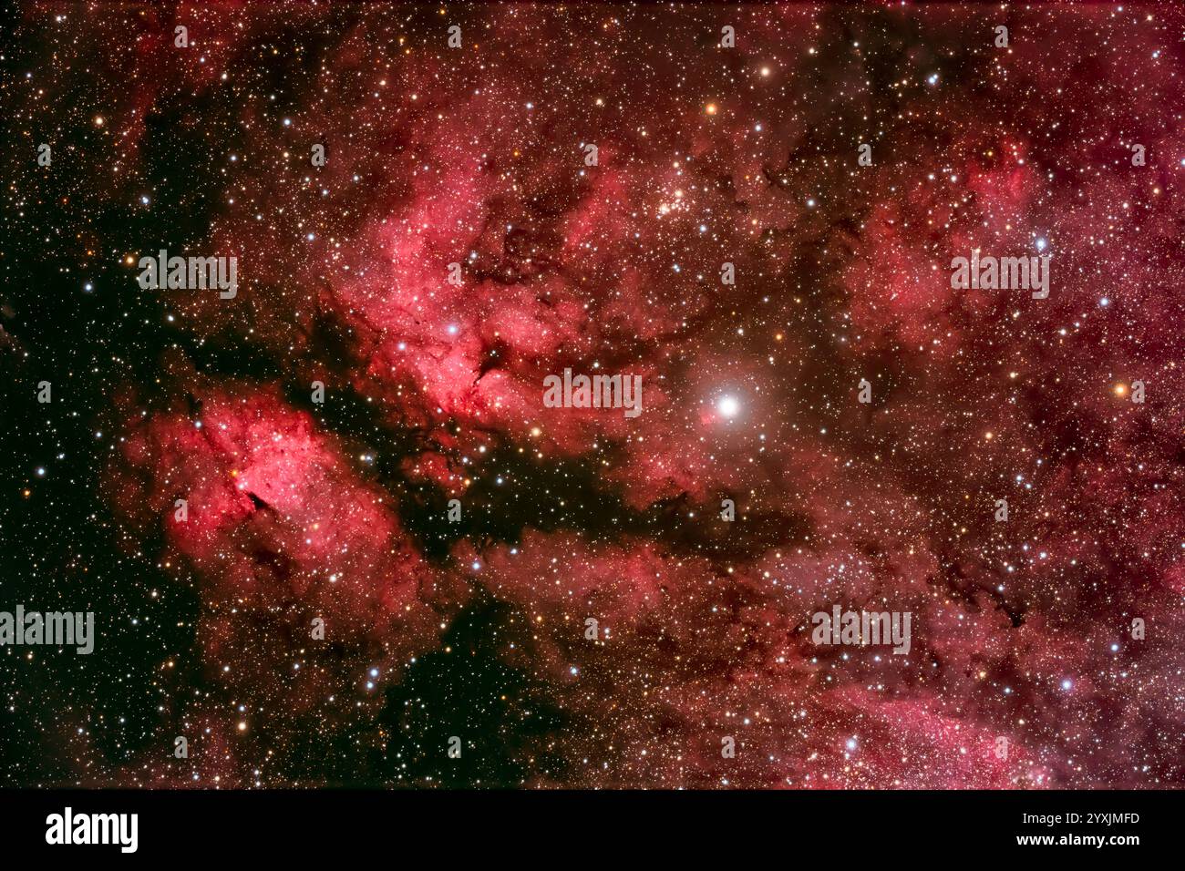 Nebulosità intorno alla stella gamma Cygni nel centro di Cygnus. Foto Stock