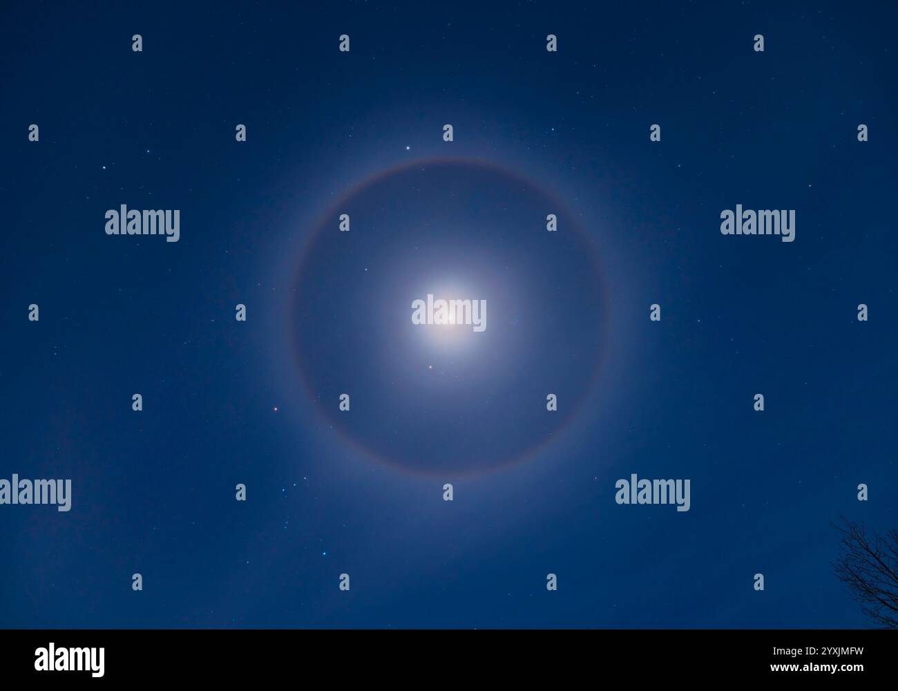 Un alone di cristallo ghiacciato intorno alla luna gibbosa incastonata tra le stelle invernali di una notte di gennaio. Foto Stock