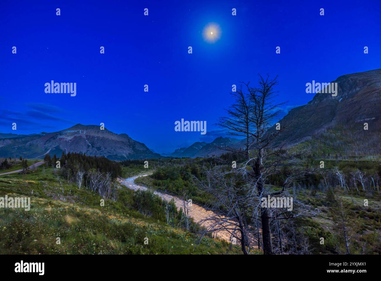 Una scena al chiaro di luna della Blakiston Valley nel Waterton Lakes National Park, Alberta, Canada. Foto Stock