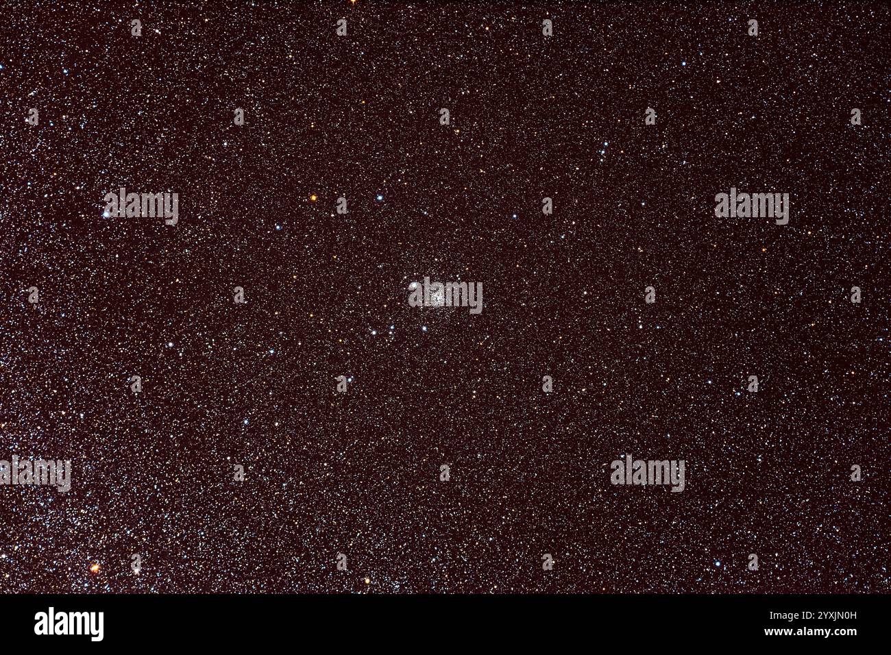 Il Foxhead Cluster, o NGC 6819, a Cygnus. Foto Stock