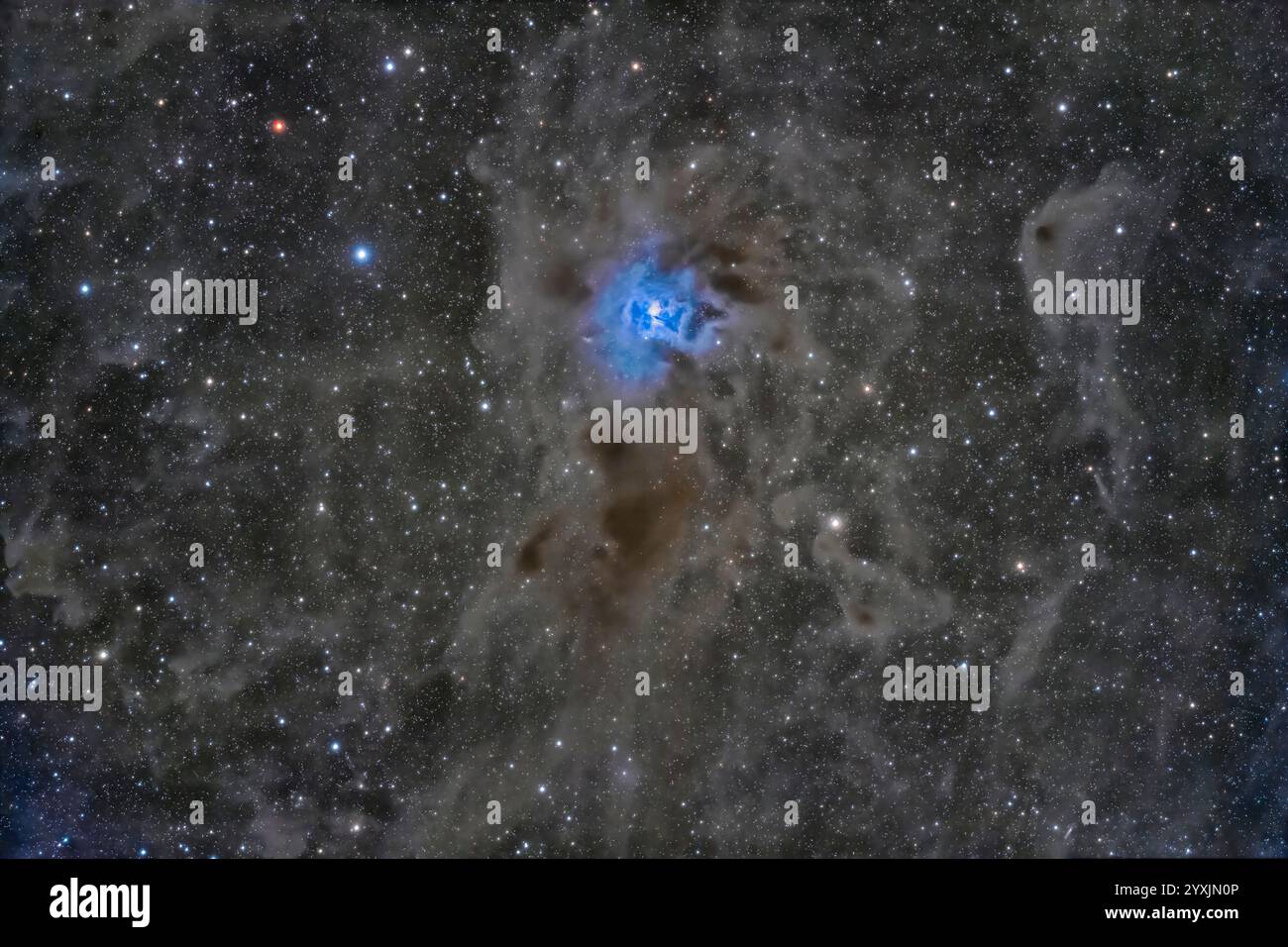 Nebulosa a riflessione blu brillante NGC 7023, nebulosa Iris. Foto Stock