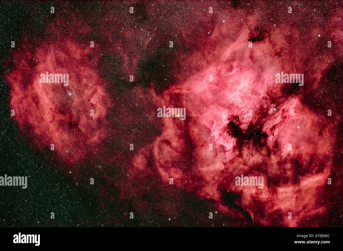 Nebulosa nordamericana, nebulosa pelicana, nebulosa conchiglia e nebulosità a Cygnus. Foto Stock