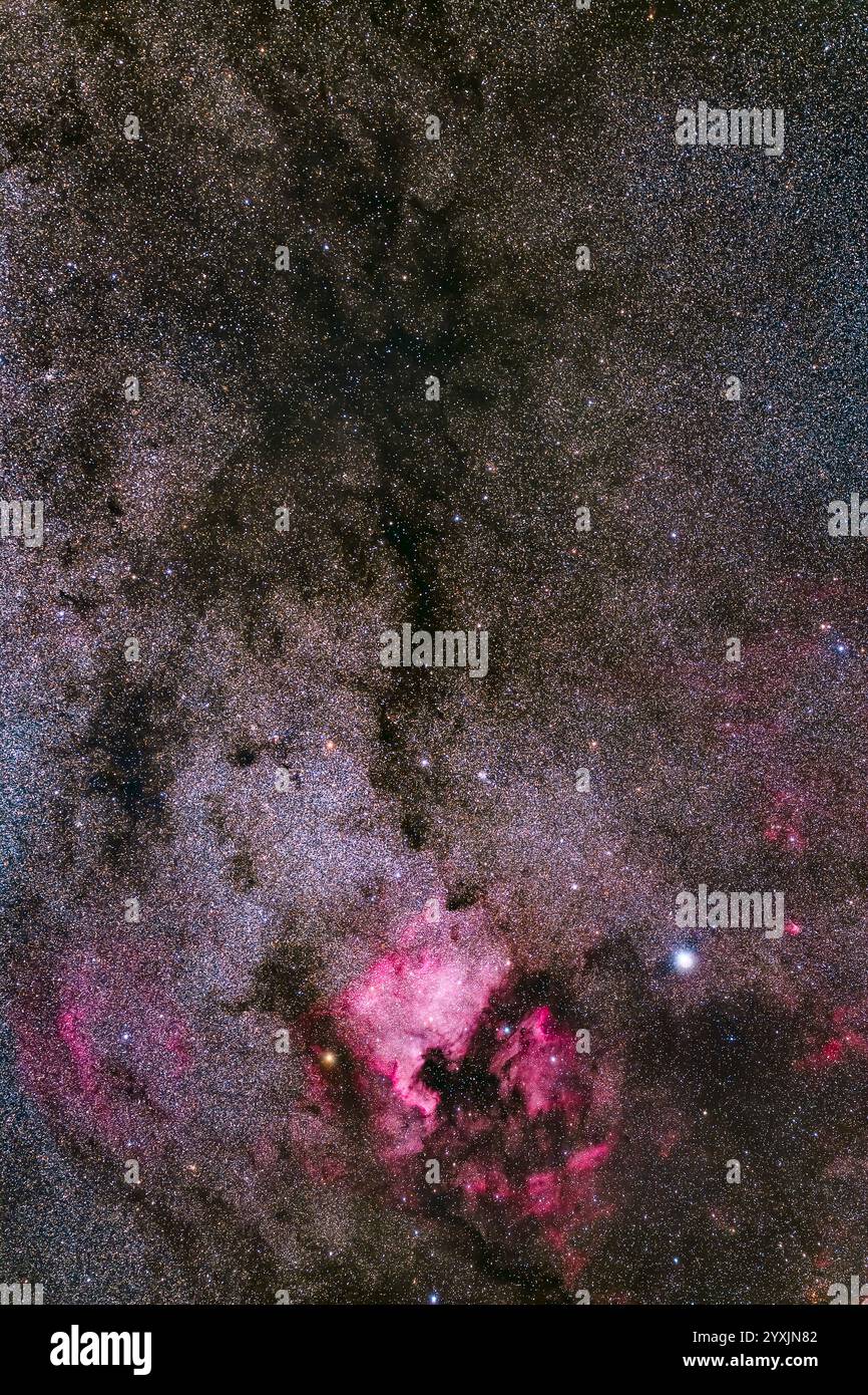 Cygnus settentrionale con la Nebulosa del Nord America, la Nebulosa Pelicana e la Nebulosa delle nuvole a imbuto. Foto Stock