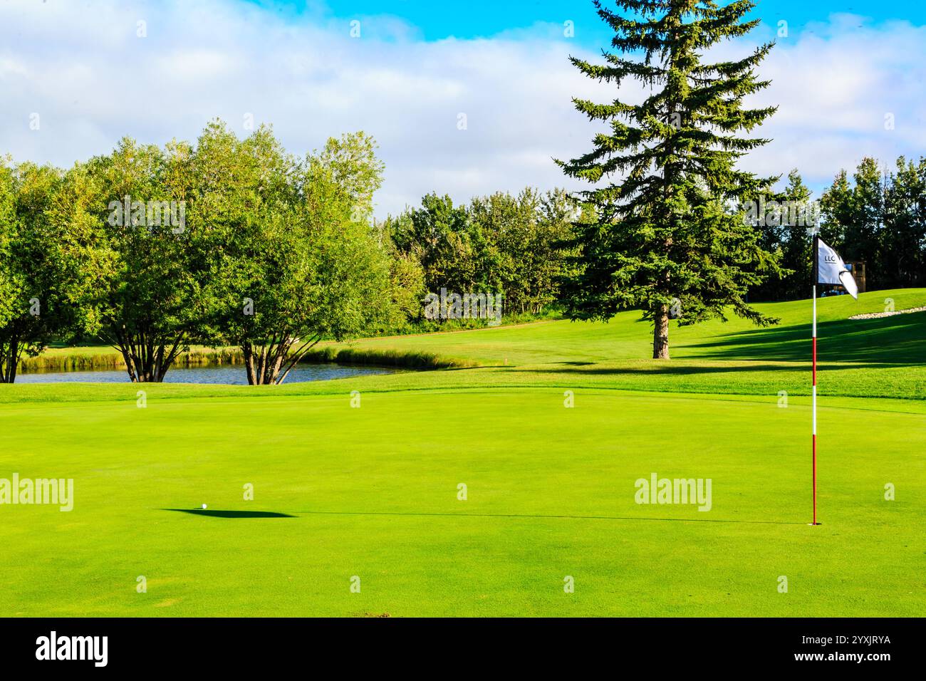 Un campo da golf con campo erboso verde e una bandiera a terra. La bandiera è bianca e nera Foto Stock