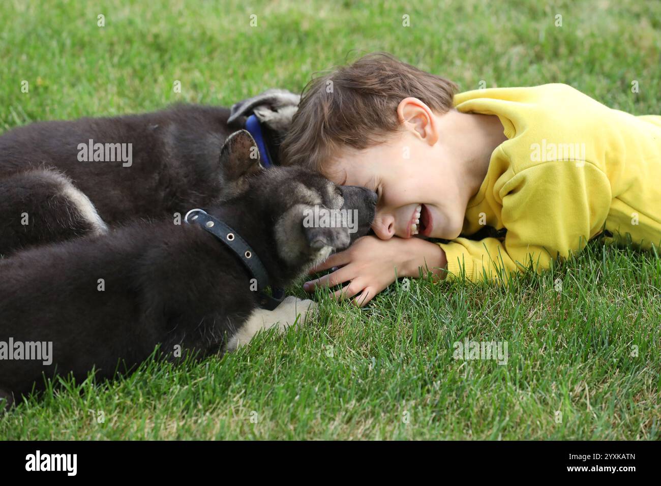 Ragazzo carino che gioca con i cuccioli di pastori sull'erba nel parco estivo Foto Stock