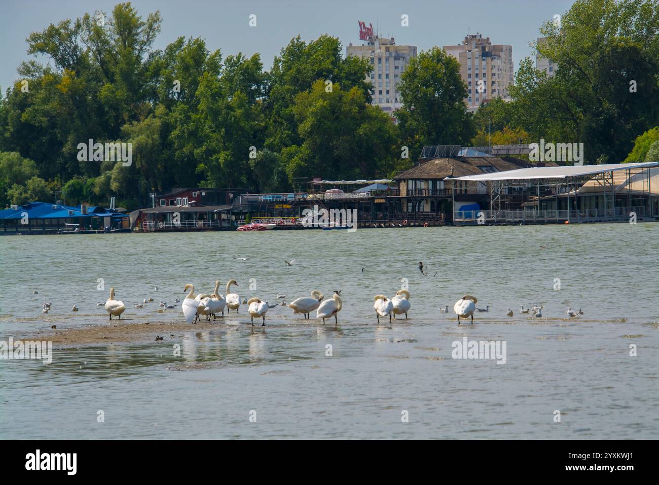 Isola della grande Guerra a Belgrado, vicino a Zemun in Serbia Foto Stock