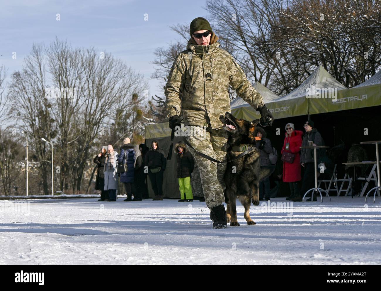 LEOPOLI, UCRAINA - 14 DICEMBRE 2024 - Un conduttore canino mostra le abilità del cane durante la Quinta corsa Kordon nel Parco della Cultura e del tempo libero di Bohdan Khmelnytskyi, Leopoli, Ucraina occidentale. La Kordon Race è sia una corsa ad ostacoli che masterclass finalizzate ad adattarsi alla vita in un paese in guerra. Foto Stock