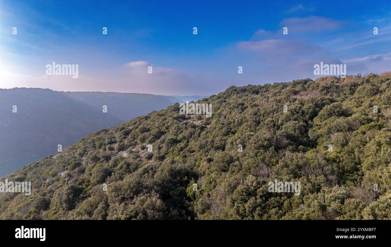 Colline verdeggianti che si affacciano sulla baia di Lim, Istria, Croazia Foto Stock