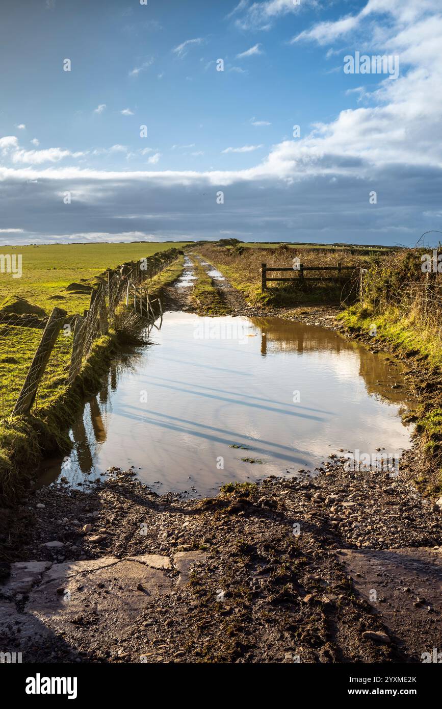 Una grande pozza d'acqua su un terreno agricolo accidentato a Bodmin Moor in Cornovaglia nel Regno Unito. Foto Stock