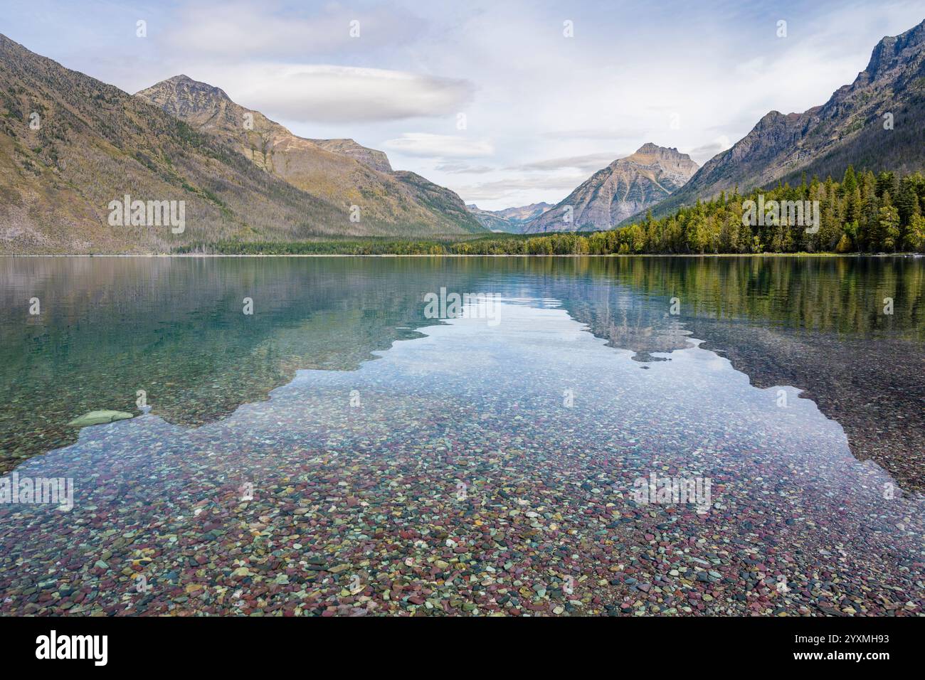 Ciottoli colorati, lago McDonald, Glacier National Park, Montana, Stati Uniti Foto Stock