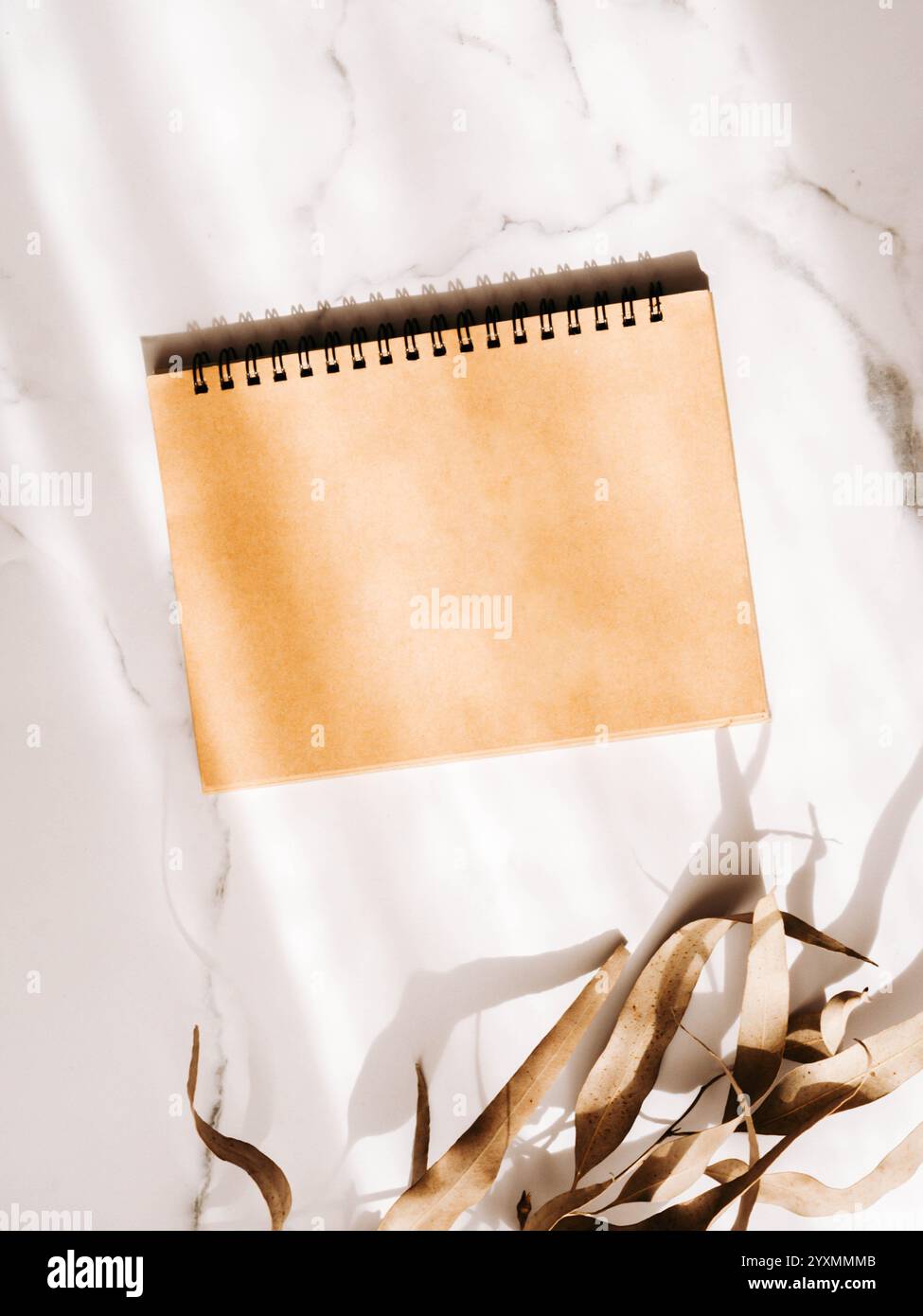 Coprire il cartone beige per un calendario o un blocco note e un ramo di eucalipto. Risoluzioni, piano, obiettivi, azione, lista di controllo, concetto di idea. Vista dall'alto. Posizione piatta. Foto Stock
