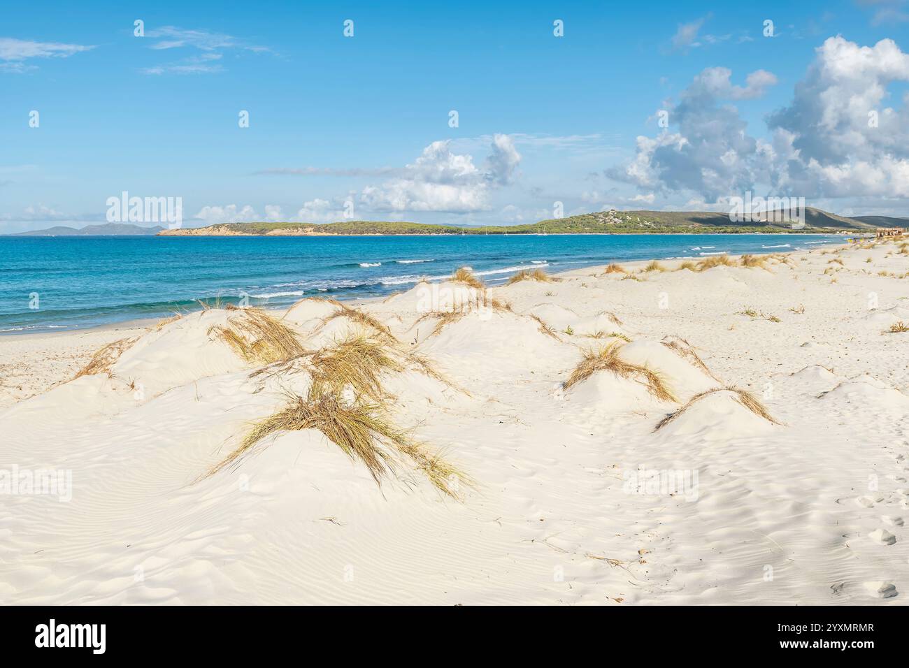 L'ampia spiaggia sabbiosa di Is Arenas Biancas, Sardegna, Italia Foto Stock