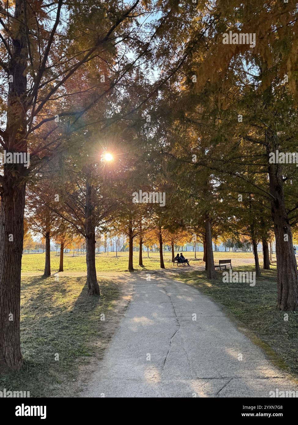 una felice passeggiata autunnale - Immagine stock catturata con smartphone