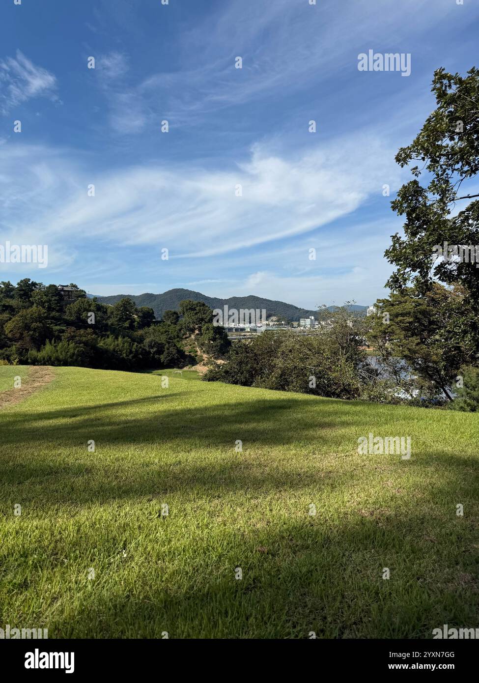 senti la natura sulle colline dell'erba verde - Immagine stock catturata con smartphone