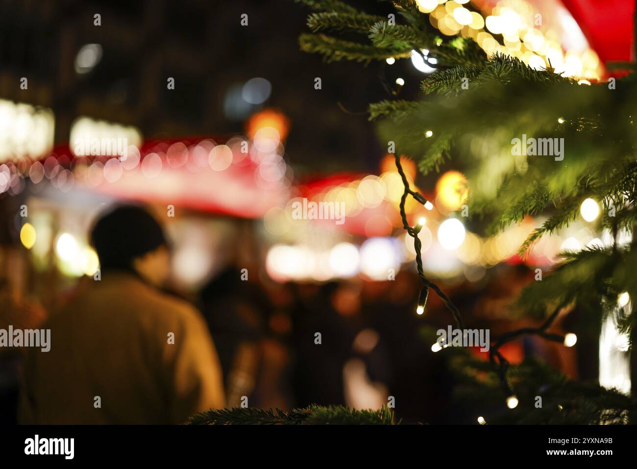 Le luci festive e i rami di abete creano un'atmosfera accogliente al mercatino di Natale di Colonia, Renania settentrionale-Vestfalia, Germania, Europa Foto Stock