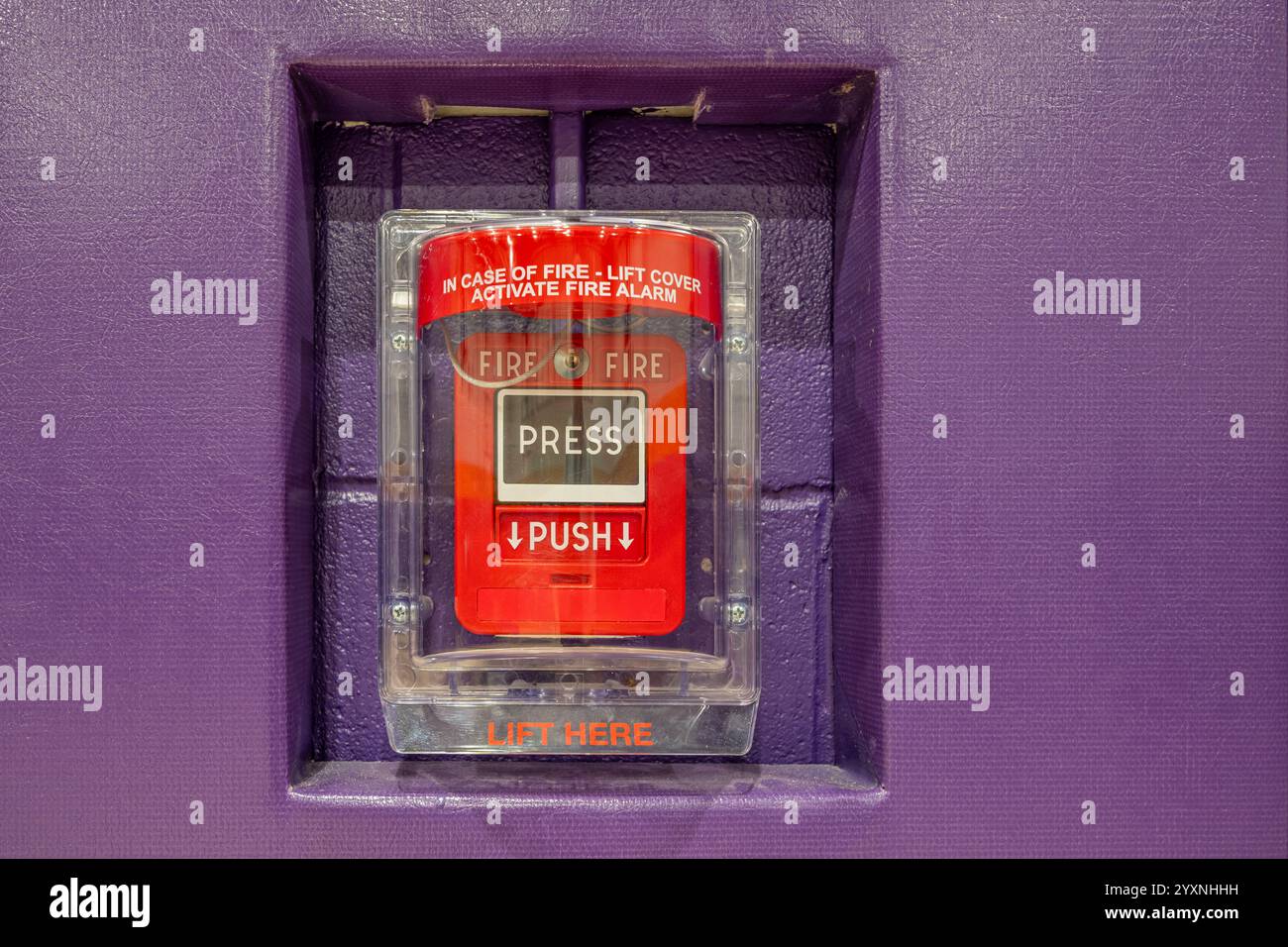 Stazione di estrazione del sistema di allarme antincendio rossa sotto un coperchio protettivo in plastica trasparente. Allarme antincendio in palestra montato a parete con protezioni viola. Foto Stock
