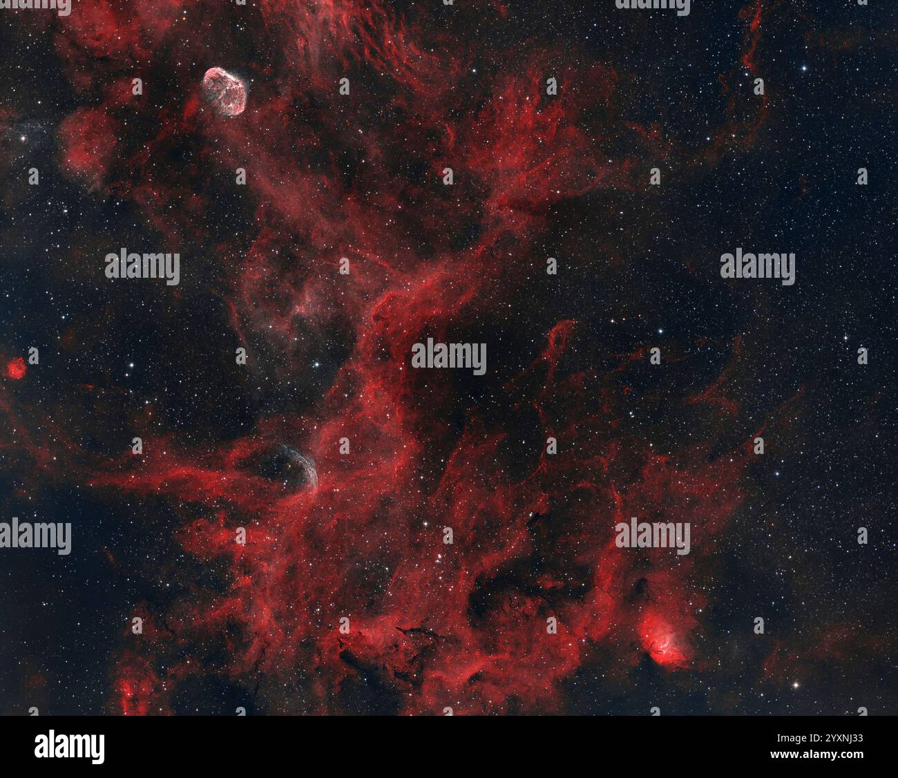 Parte centrale della costellazione di Cygnus. Foto Stock