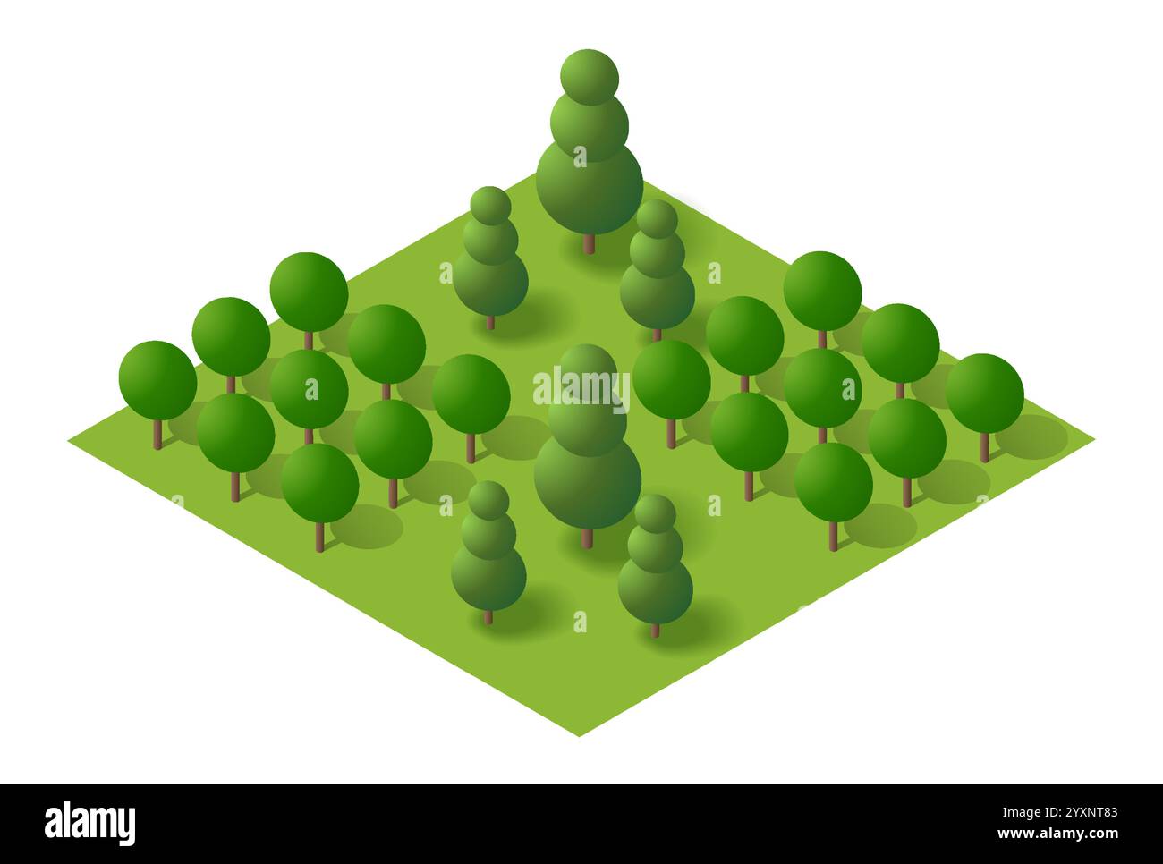 Illustrazione isometrica di una lussureggiante foresta verde che cresce su un terreno quadrato Illustrazione Vettoriale