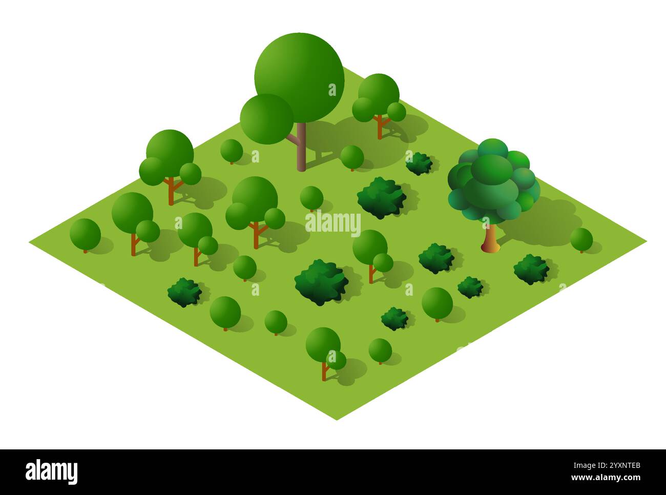 Illustrazione isometrica di una lussureggiante foresta verde che cresce su un terreno quadrato Illustrazione Vettoriale