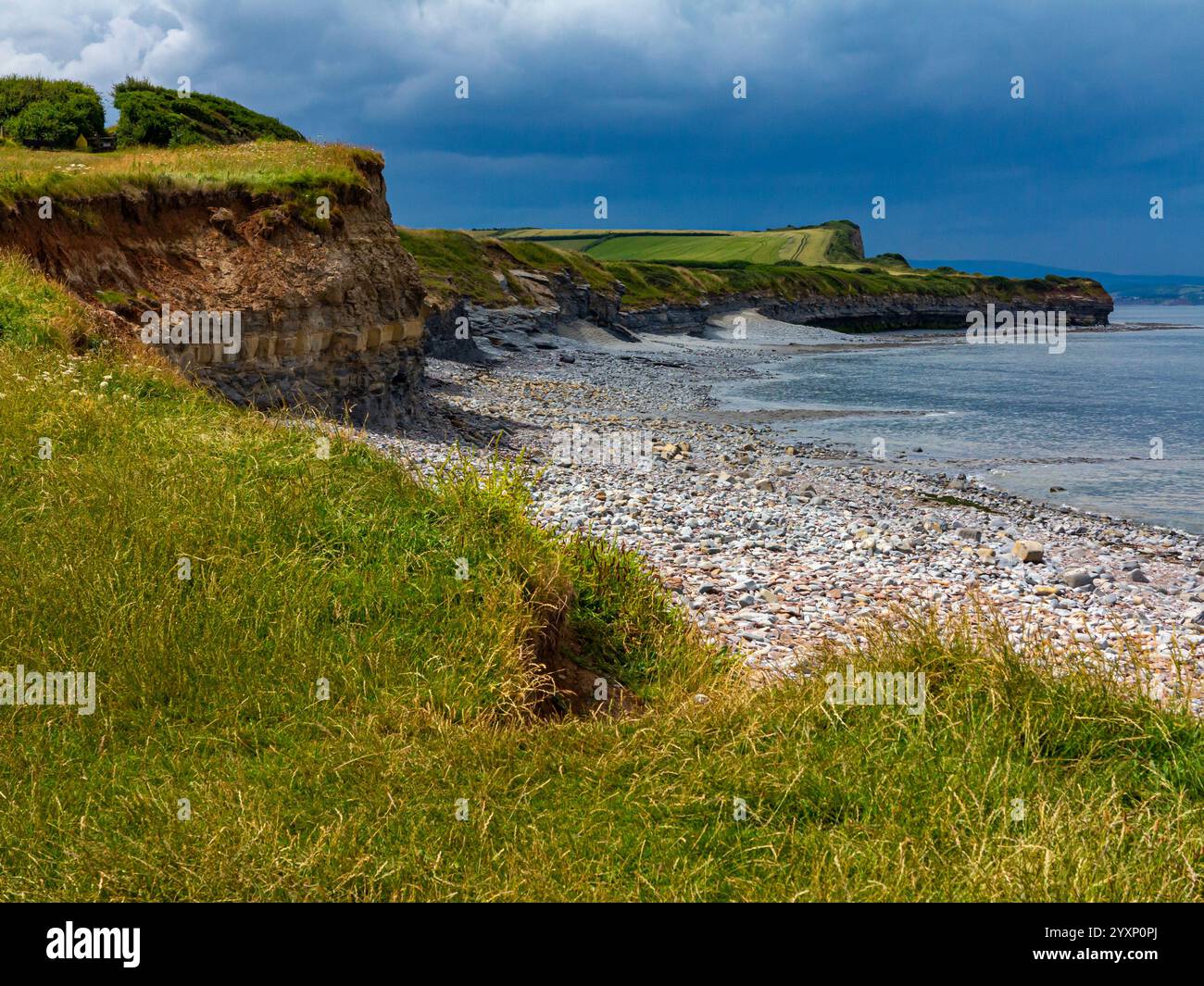 Vista della spiaggia rocciosa di Kilve nel nord del Somerset, Inghilterra, un sito di particolare interesse scientifico famoso per i suoi fossili. Foto Stock