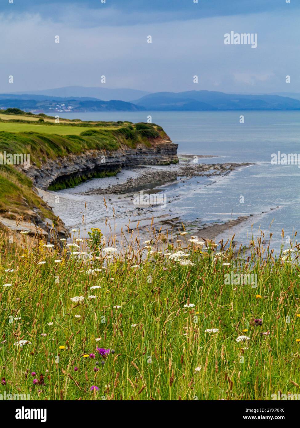 Vista della spiaggia rocciosa di Kilve nel nord del Somerset, Inghilterra, un sito di particolare interesse scientifico famoso per i suoi fossili. Foto Stock