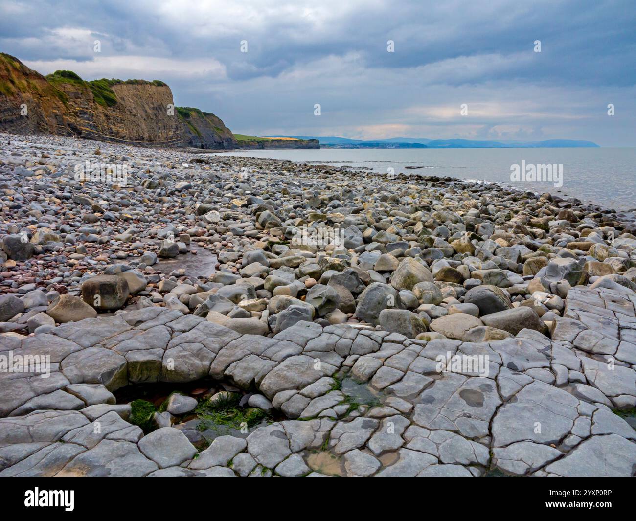 Vista della spiaggia rocciosa di Kilve nel nord del Somerset, Inghilterra, un sito di particolare interesse scientifico famoso per i suoi fossili. Foto Stock