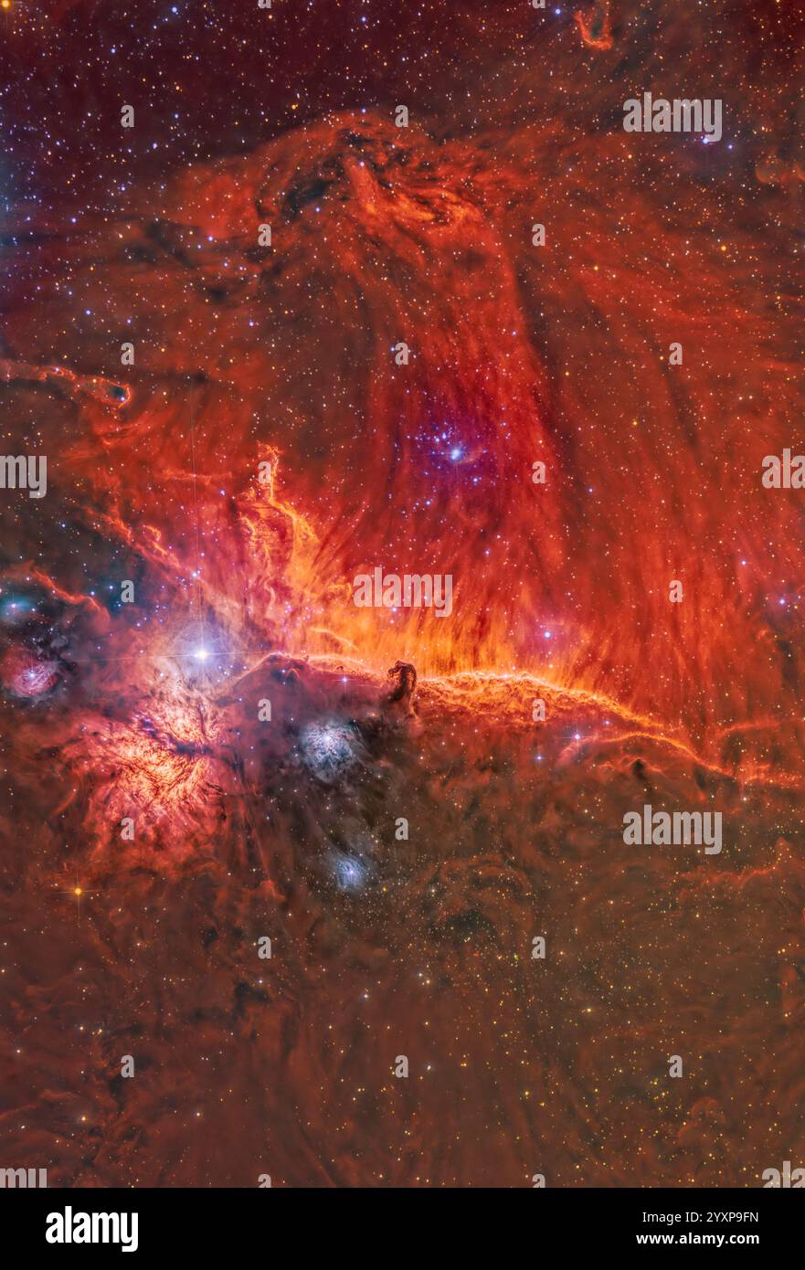 Nebulosa ad emissione IC 434 in Orion, con la Nebulosa a testa di cavallo e la Nebulosa a fiamma. Foto Stock