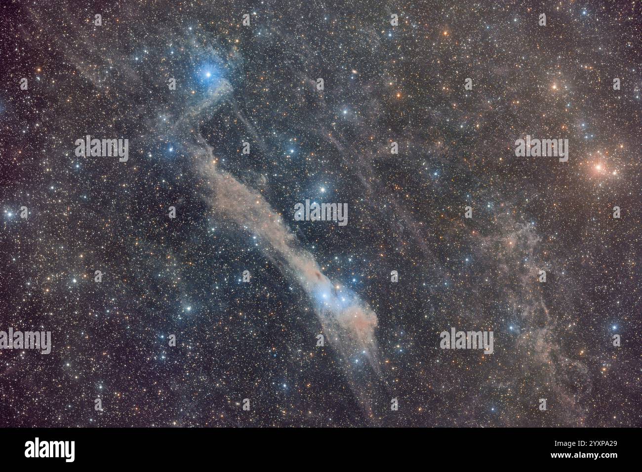 La nuvola molecolare LBN 534 nella costellazione Andromeda. Foto Stock