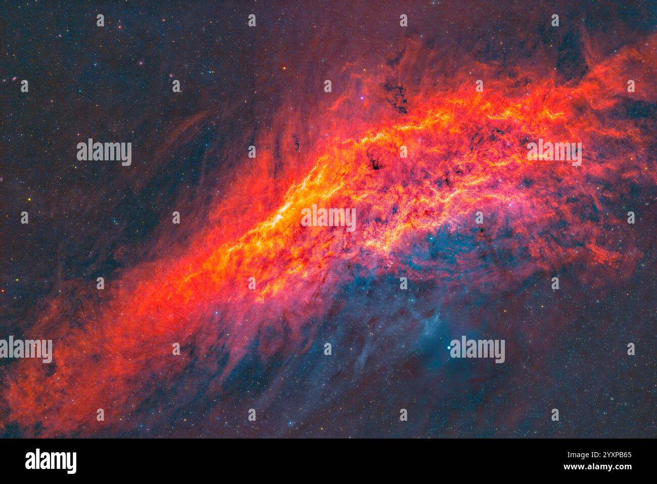 NGC 1499 la nebulosa California. Foto Stock