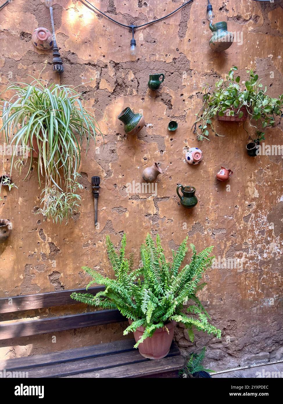 Una pianta e vasi di argilla adornano un muro di pietra. Foto Stock