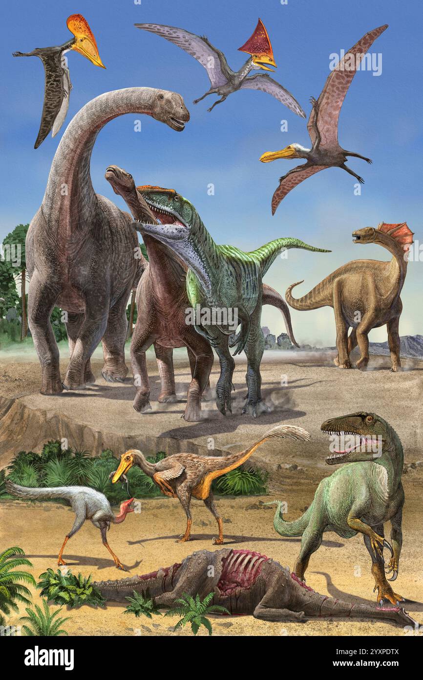 Catena alimentare dei dinosauri. Foto Stock
