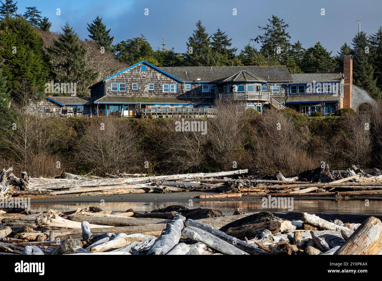 WA28048-00...WASHINGTON - Driftlogs in insenatura lungo il Kalaloch Creek sotto Kalaloch Lodge. Foto Stock