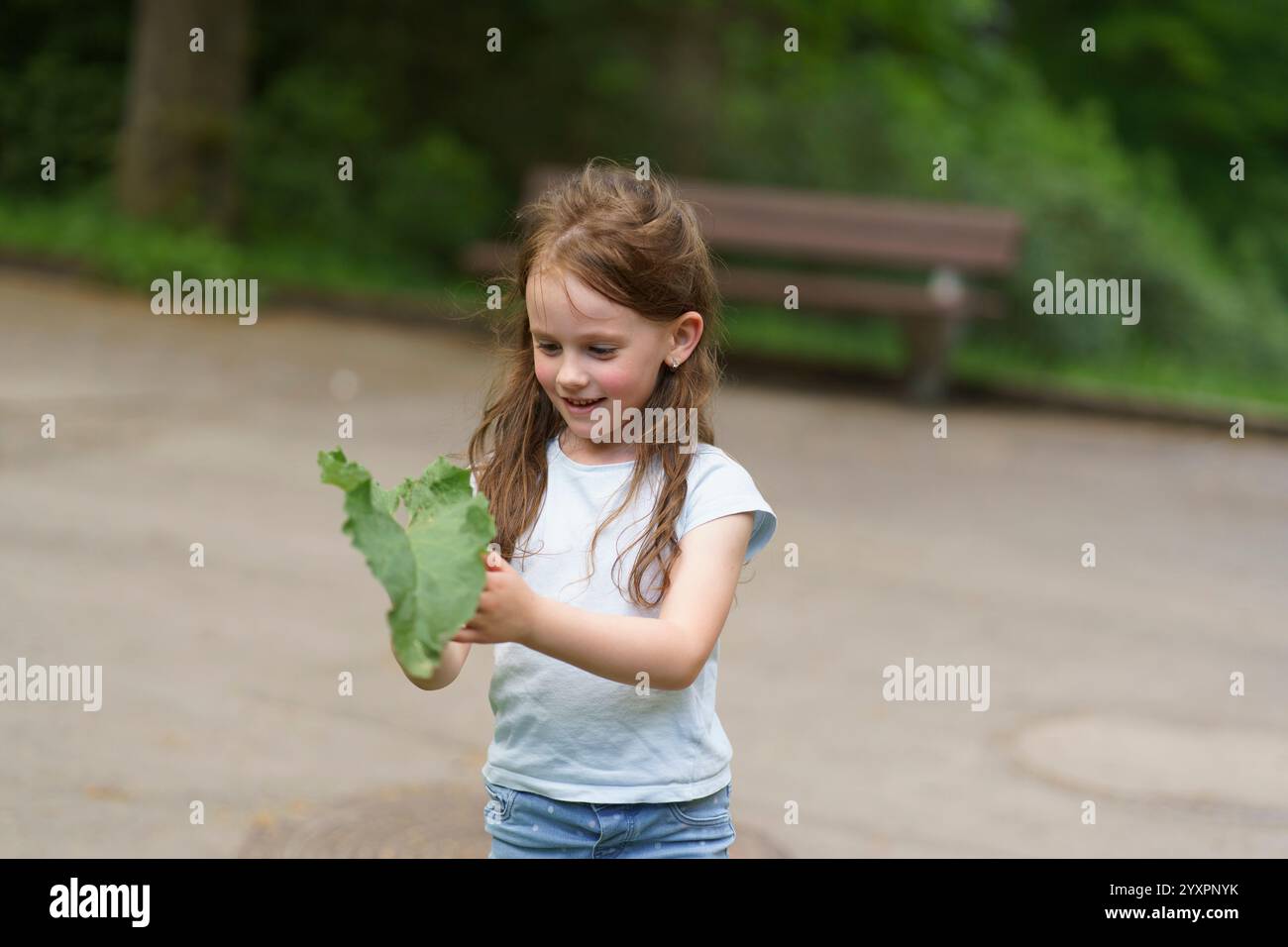 Una bambina carina che tiene in mano la foglia di burdock nel parco estivo. Bambini attivi felici all'aperto Foto Stock