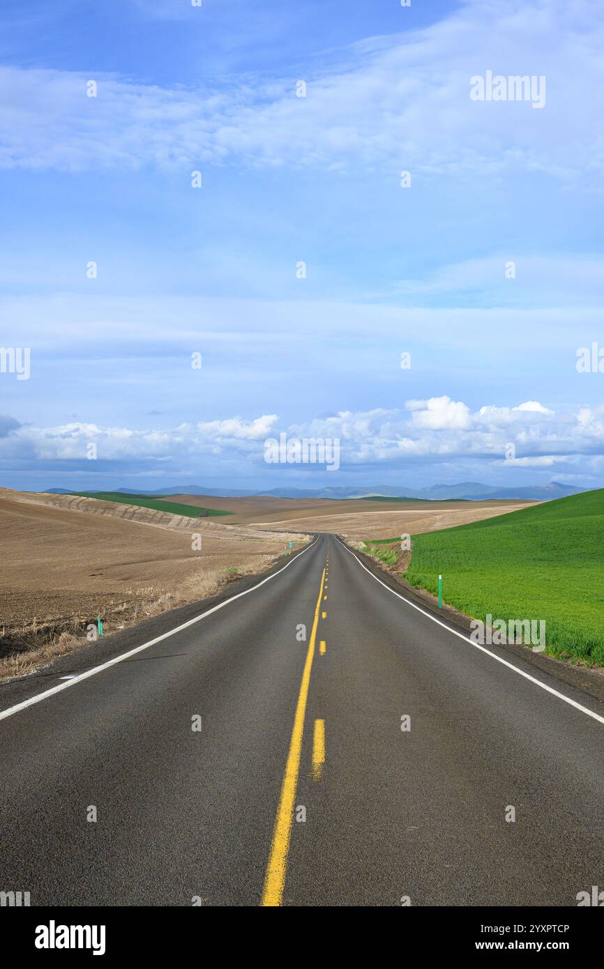Strada rurale nel terreno agricolo di Washigton orientale con campi marrone e verde Foto Stock